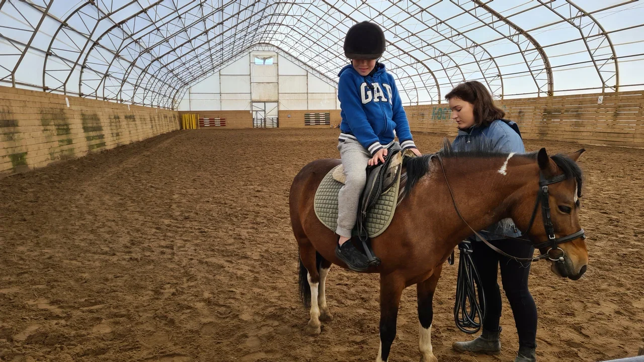 Фото Конеферма "Костин двор" - развлечение в Москве | Досугатор